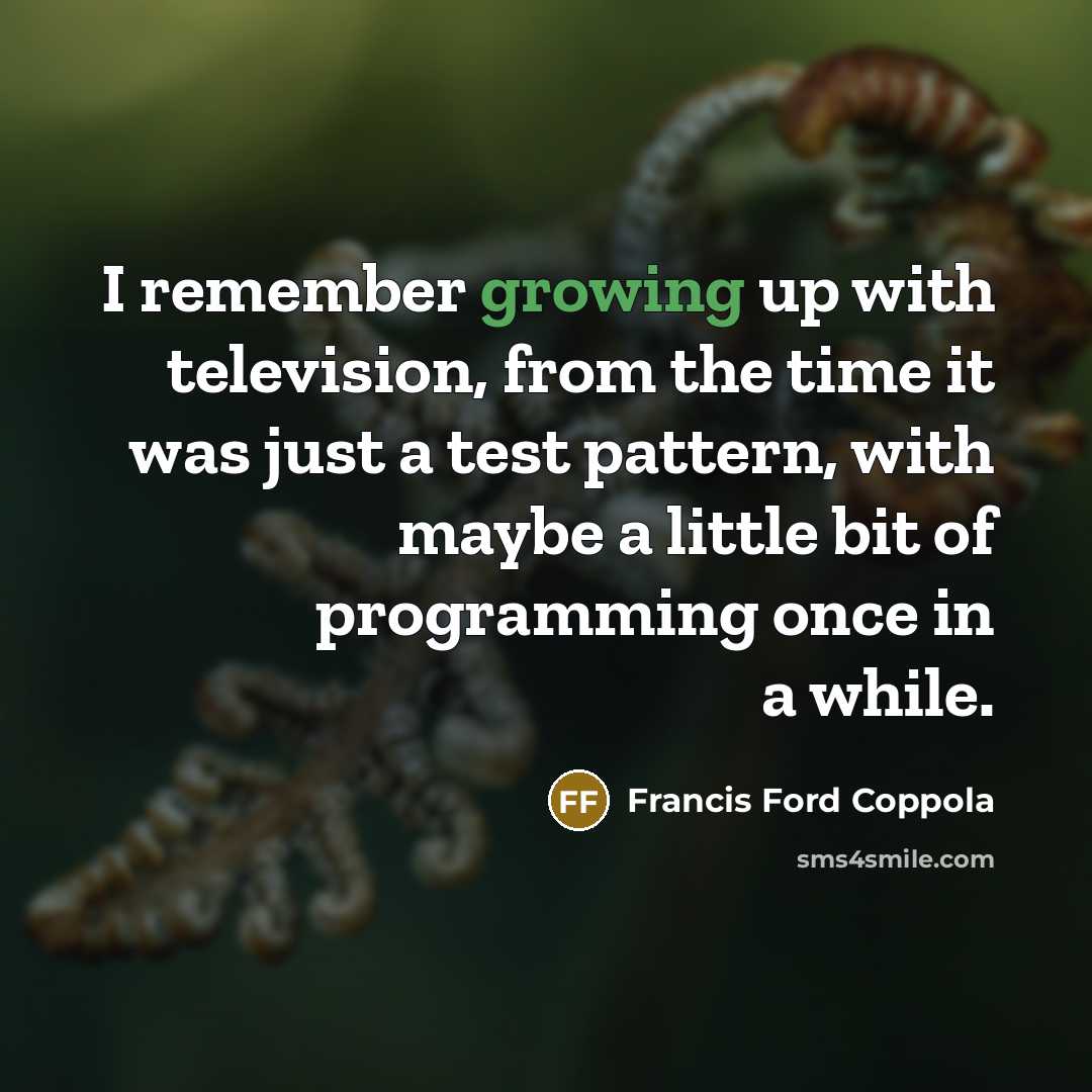 “I remember growing up with television, from the time it was just a test pattern, with maybe a little bit of programming once in a while.” quote by Francis Ford Coppola