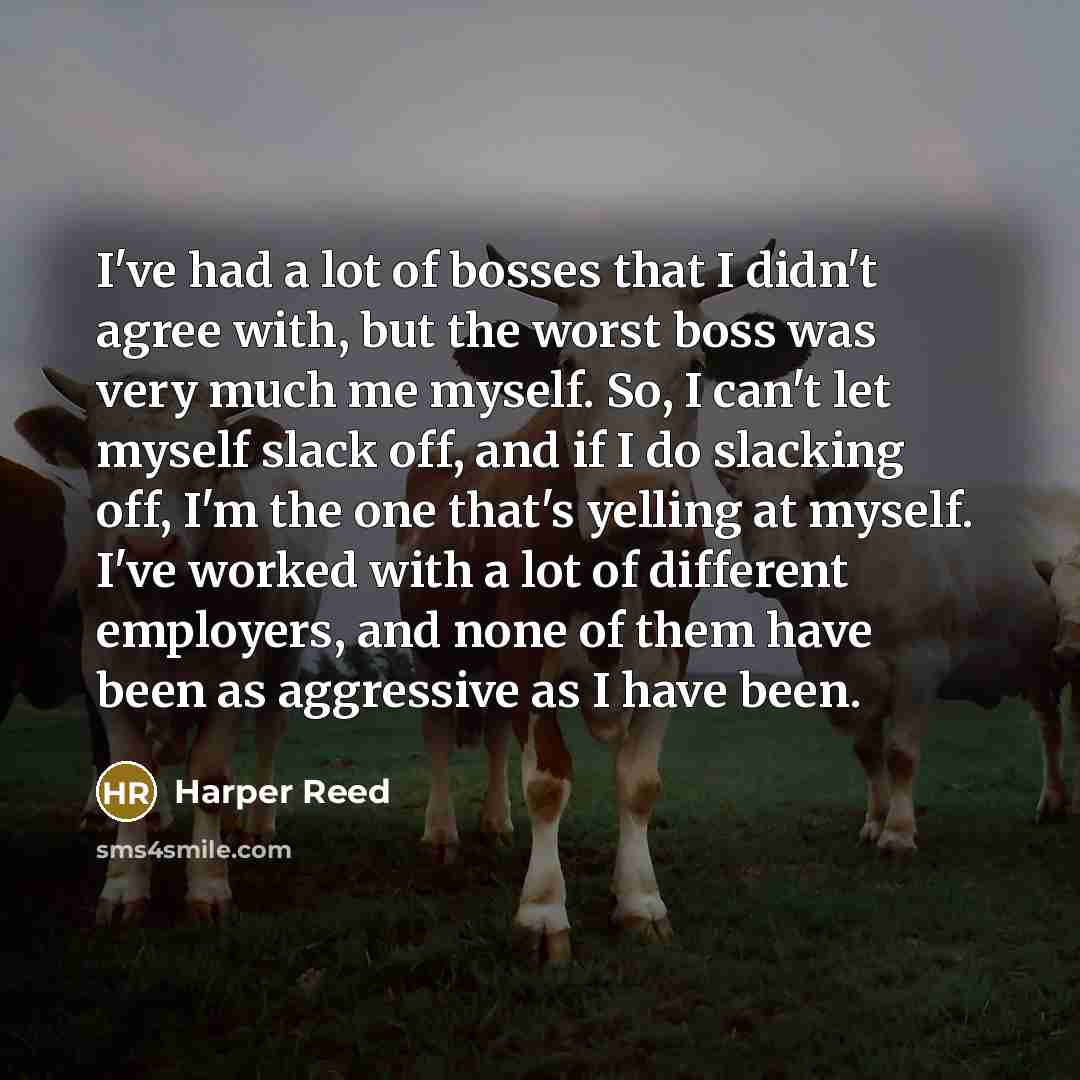 “I've had a lot of bosses that I didn't agree with, but the worst boss was very much me myself. So, I can't let myself slack off, and if I do slacking off, I'm the one that's yelling at myself. I've worked with a lot of different employers, and none of them have been as aggressive as I have been.” quote by Harper Reed