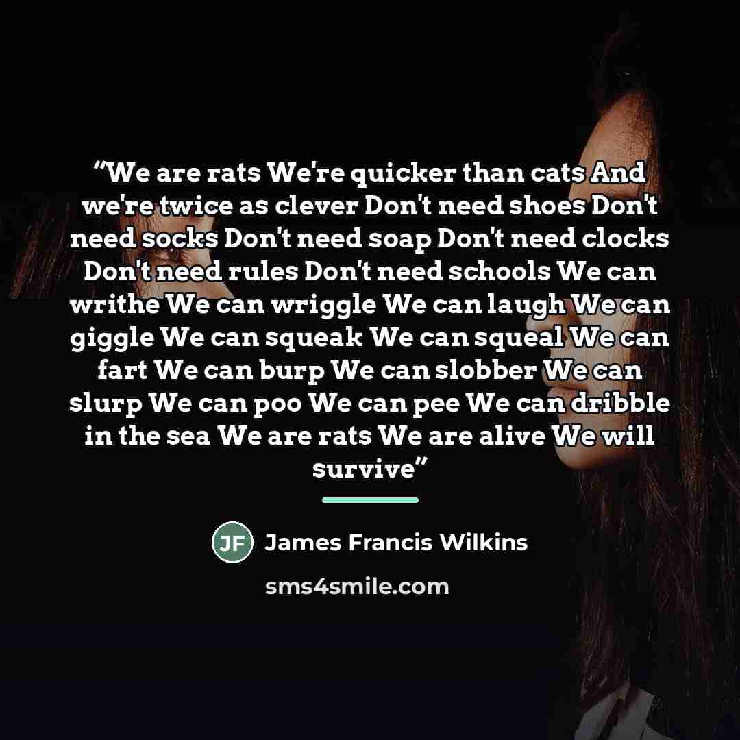 “We are rats We're quicker than cats And we're twice as clever Don't need shoes Don't need socks Don't need soap Don't need clocks Don't need rules Don't need schools We can writhe We can wriggle We can laugh We can giggle We can squeak We can squeal We can fart We can burp We can slobber We can…” quote by James Francis Wilkins