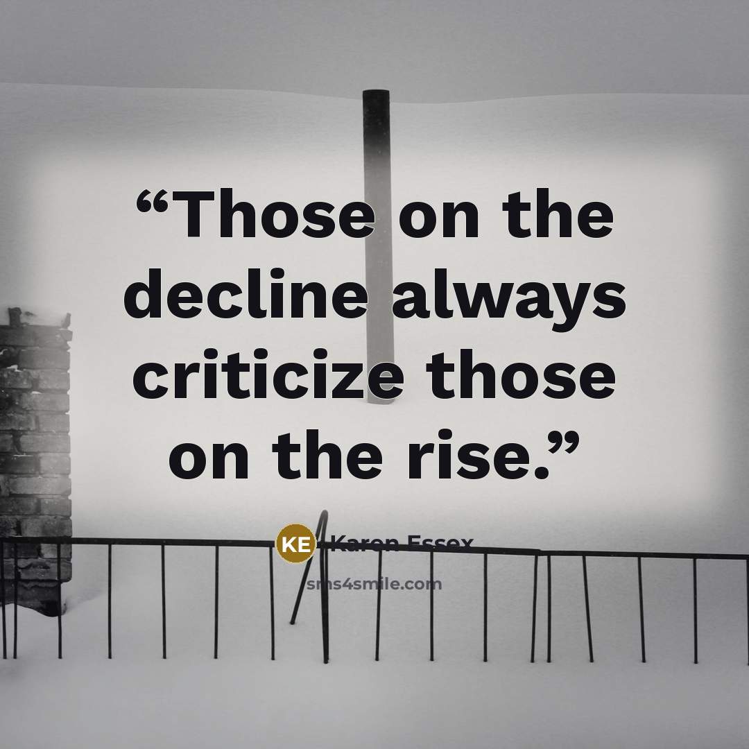 “Those on the decline always criticize those on the rise.” quote by Karen Essex