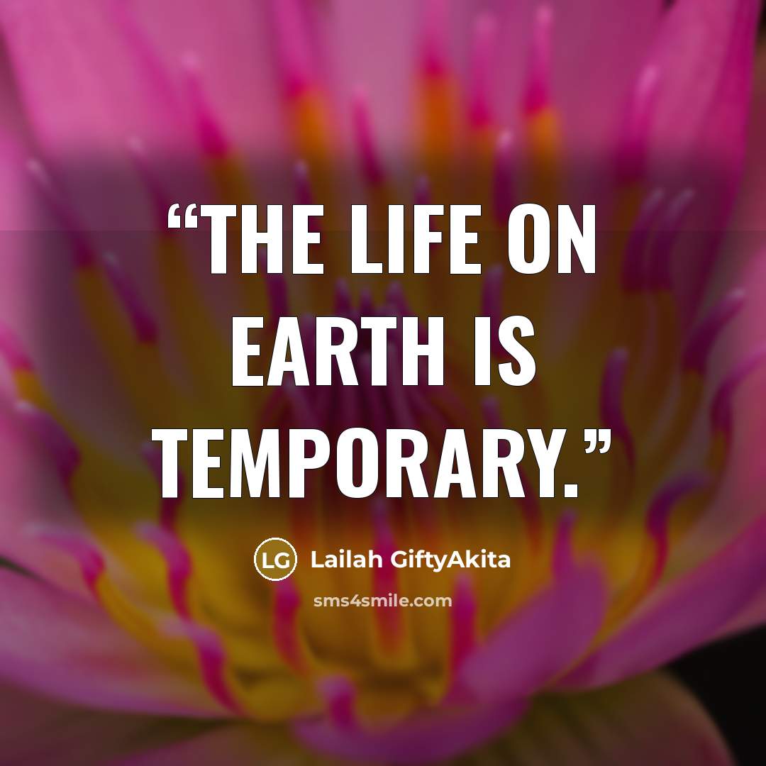 “The life on earth is temporary.” quote by Lailah GiftyAkita