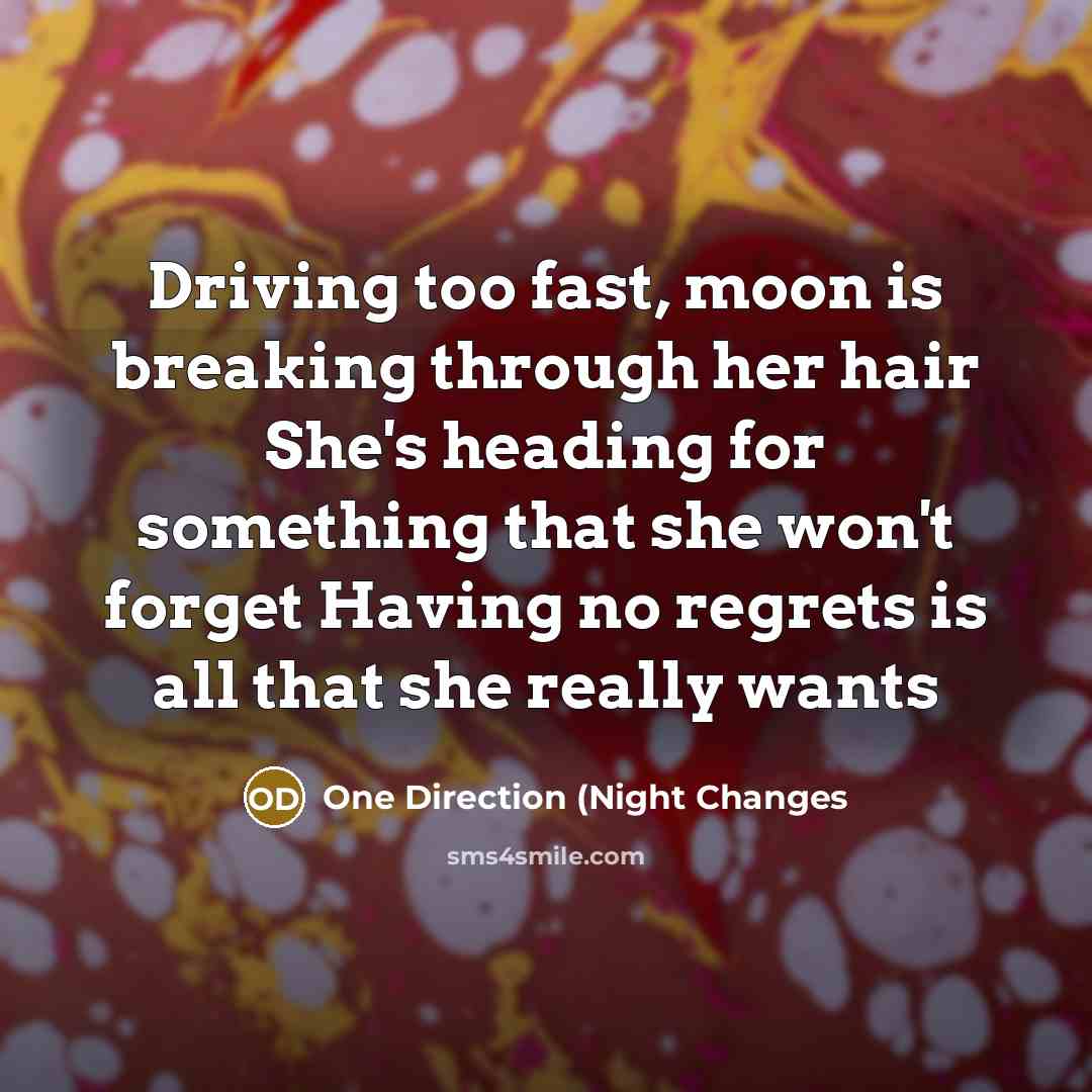 “Driving too fast, moon is breaking through her hair She's heading for something that she won't forget Having no regrets is all that she really wants” quote by One Direction (Night Changes