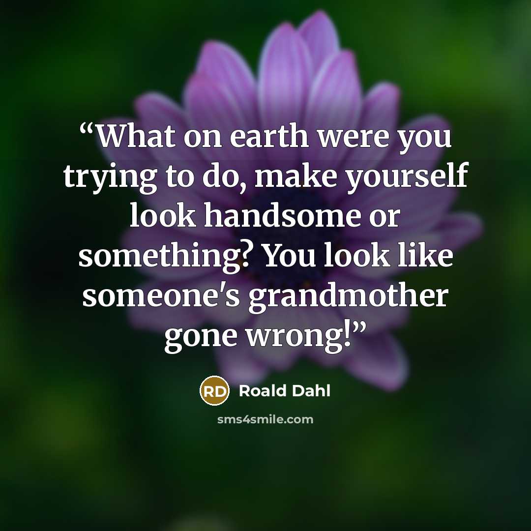 “What on earth were you trying to do, make yourself look handsome or something? You look like someone's grandmother gone wrong!” quote by Roald Dahl