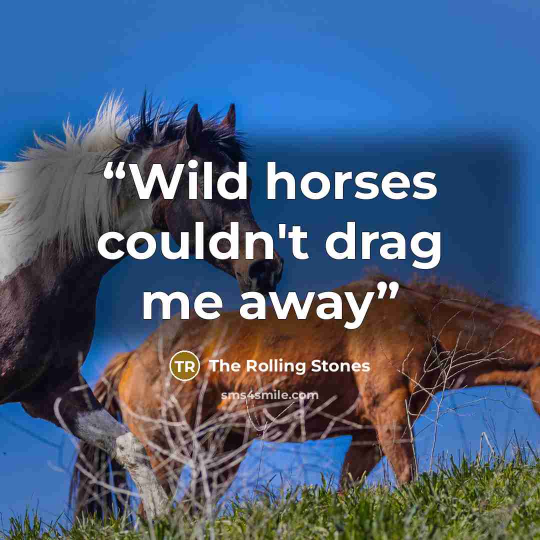“Wild horses couldn't drag me away” quote by The Rolling Stones