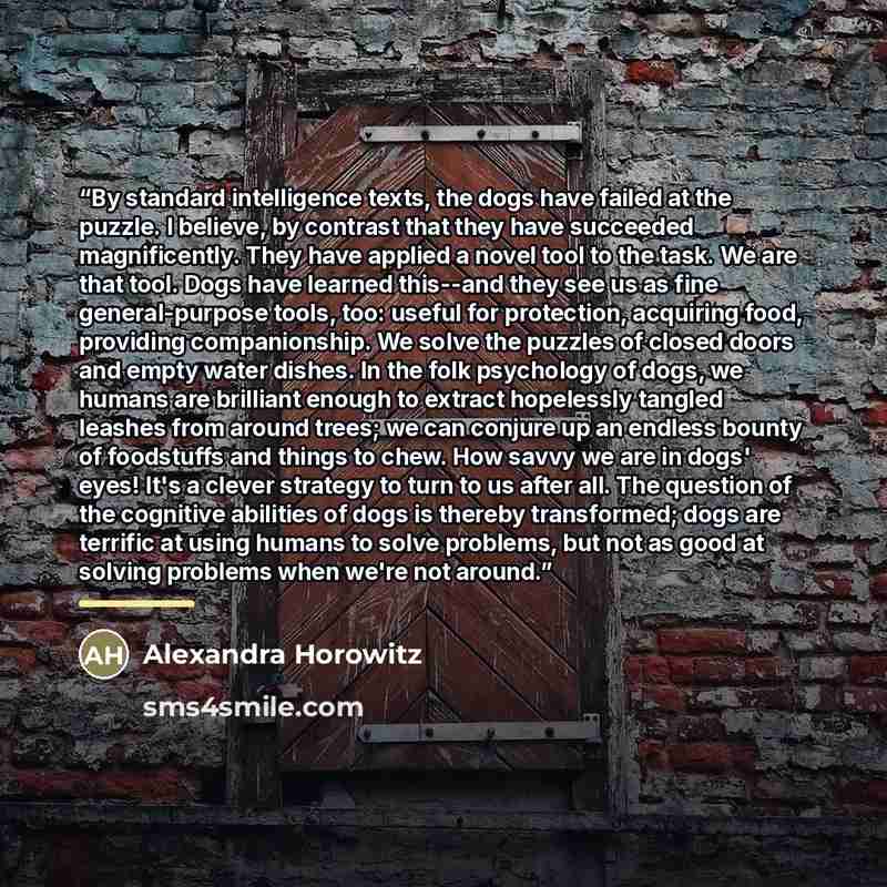 “By standard intelligence texts, the dogs have failed at the puzzle. I believe, by contrast that they have succeeded magnificently. They have applied a novel tool to the task. We are that tool. Dogs have learned this--and they see us as fine general-purpose tools, too: useful for protection…” quote by Alexandra Horowitz