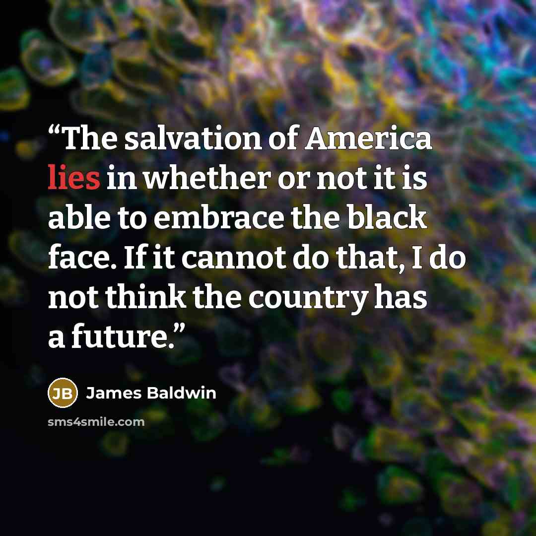 “The salvation of America lies in whether or not it is able to embrace the black face. If it cannot do that, I do not think the country has a future.” quote by James Baldwin
