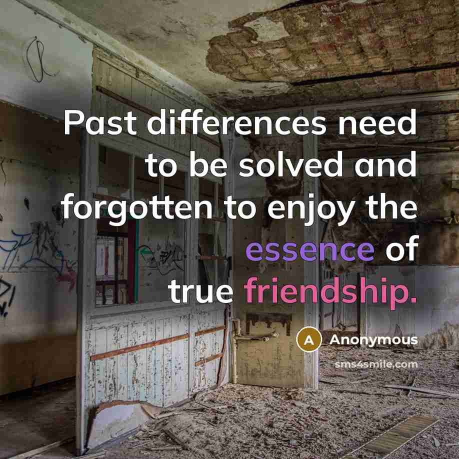 “Past differences need to be solved and forgotten to enjoy the essence of true friendship.” quote by Anonymous