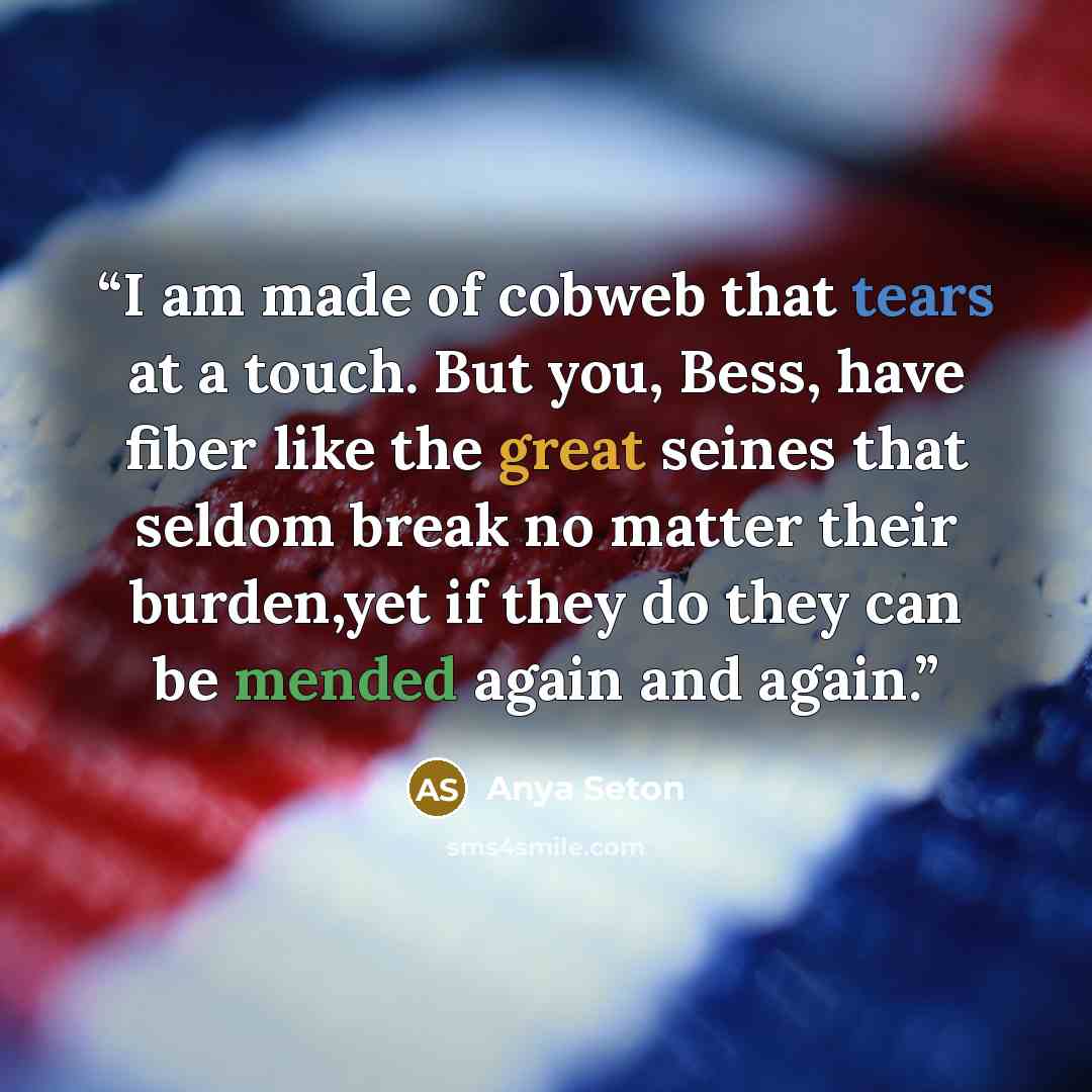“I am made of cobweb that tears at a touch. But you, Bess, have fiber like the great seines that seldom break no matter their burden,yet if they do they can be mended again and again.” quote by Anya Seton
