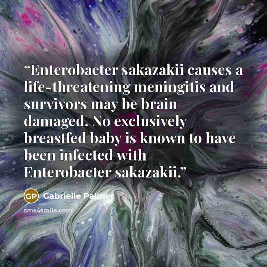 “Enterobacter sakazakii causes a life-threatening meningitis and survivors may be brain damaged. No exclusively breastfed baby is known to have been infected with Enterobacter sakazakii.” quote by Gabrielle Palmer