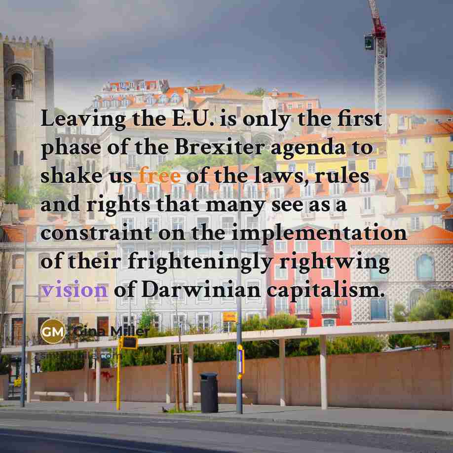 “Leaving the E.U. is only the first phase of the Brexiter agenda to shake us free of the laws, rules and rights that many see as a constraint on the implementation of their frighteningly rightwing vision of Darwinian capitalism.” quote by Gina Miller