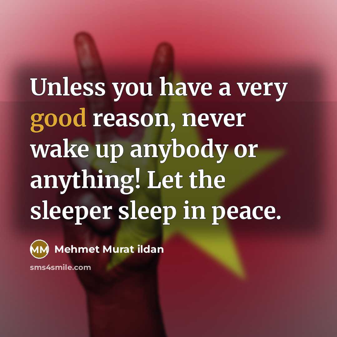 “Unless you have a very good reason, never wake up anybody or anything! Let the sleeper sleep in peace.” quote by Mehmet Murat Ildan