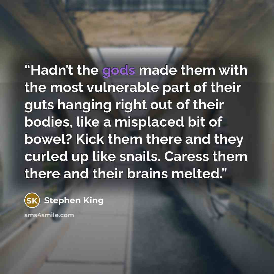 “Hadn’t the gods made them with the most vulnerable part of their guts hanging right out of their bodies, like a misplaced bit of bowel? Kick them there and they curled up like snails. Caress them there and their brains melted.” quote by Stephen King