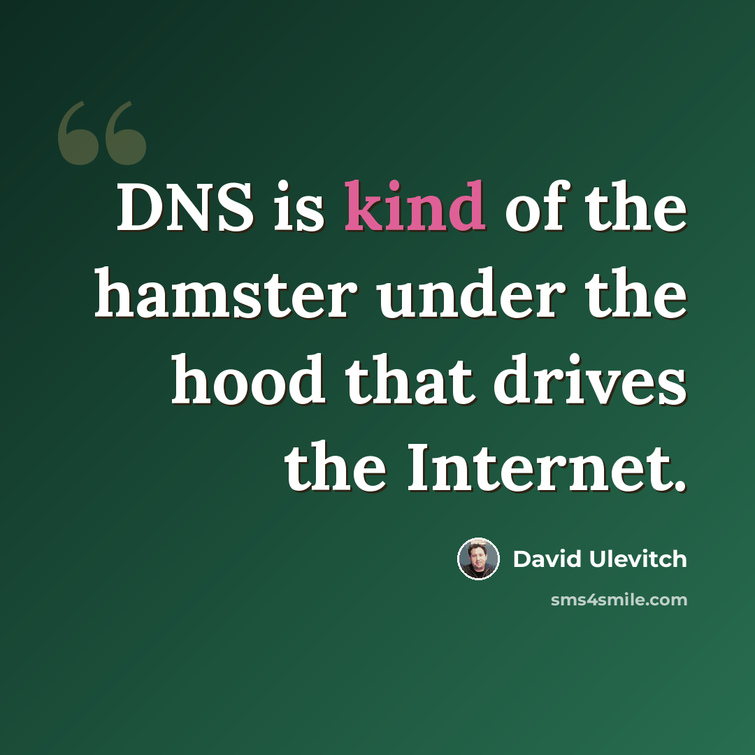 “DNS is kind of the hamster under the hood that drives the Internet.” quote by David Ulevitch