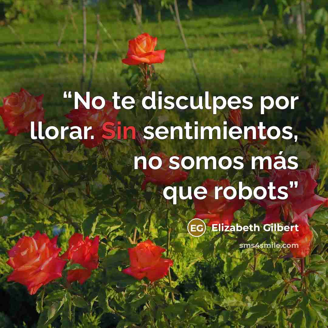 “No te disculpes por llorar. Sin sentimientos, no somos más que robots” quote by Elizabeth Gilbert