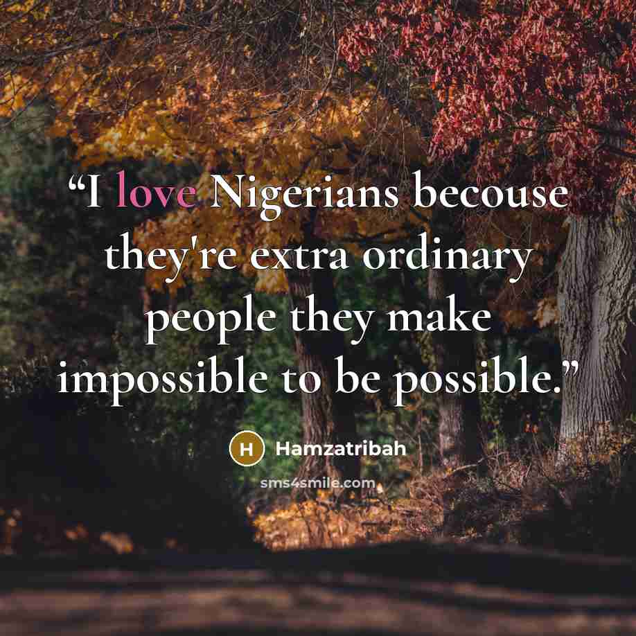 “I love Nigerians becouse they're extra ordinary people they make impossible to be possible.” quote by Hamzatribah