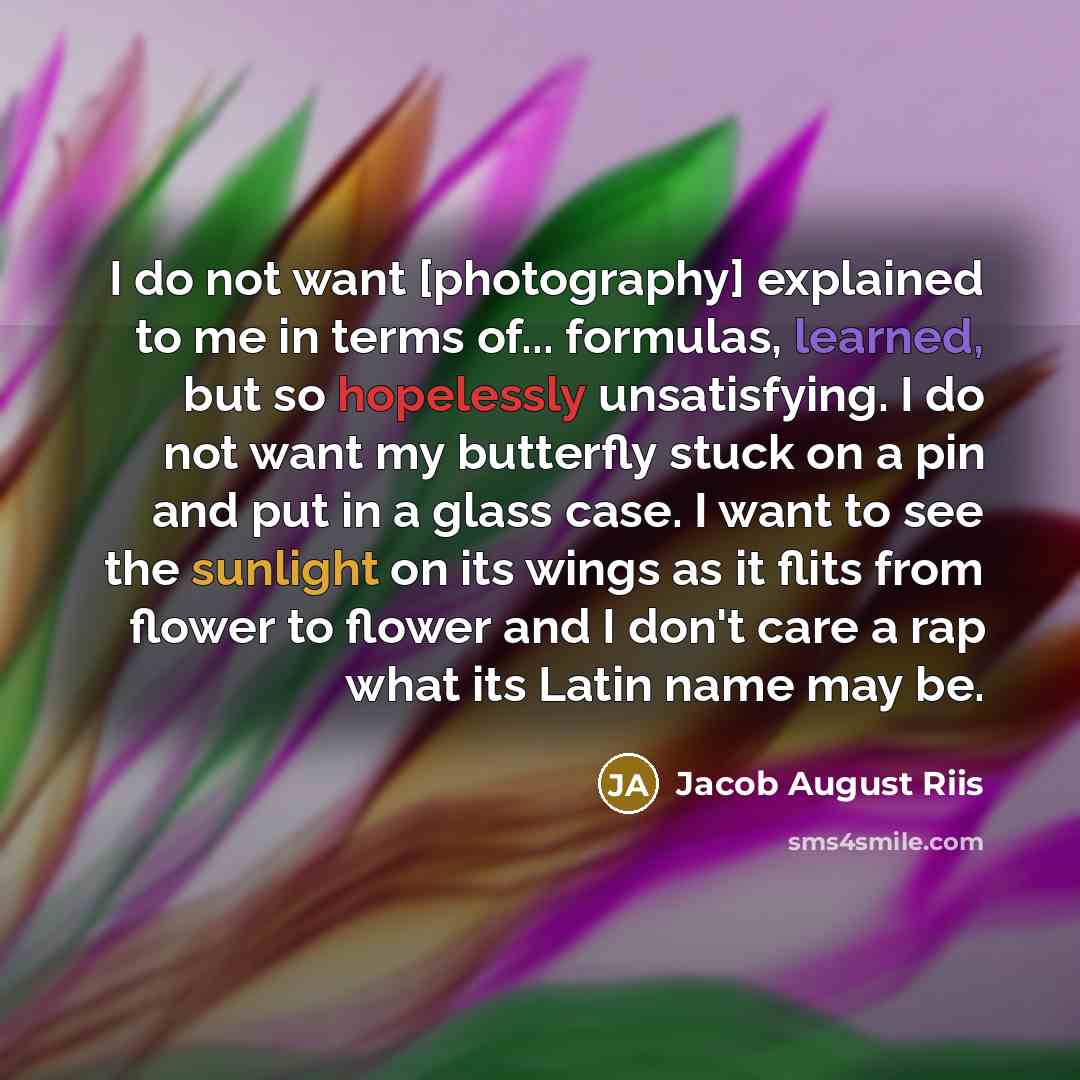 “I do not want [photography] explained to me in terms of... formulas, learned, but so hopelessly unsatisfying. I do not want my butterfly stuck on a pin and put in a glass case. I want to see the sunlight on its wings as it flits from flower to flower and I don't care a rap what its Latin name may…” quote by Jacob August Riis
