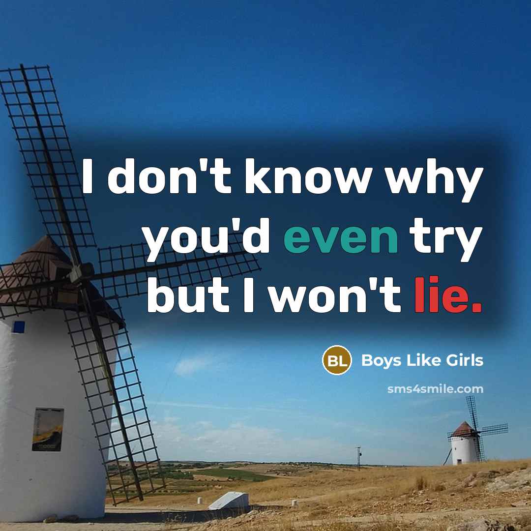 “I don't know why you'd even try but I won't lie.” quote by Boys Like Girls