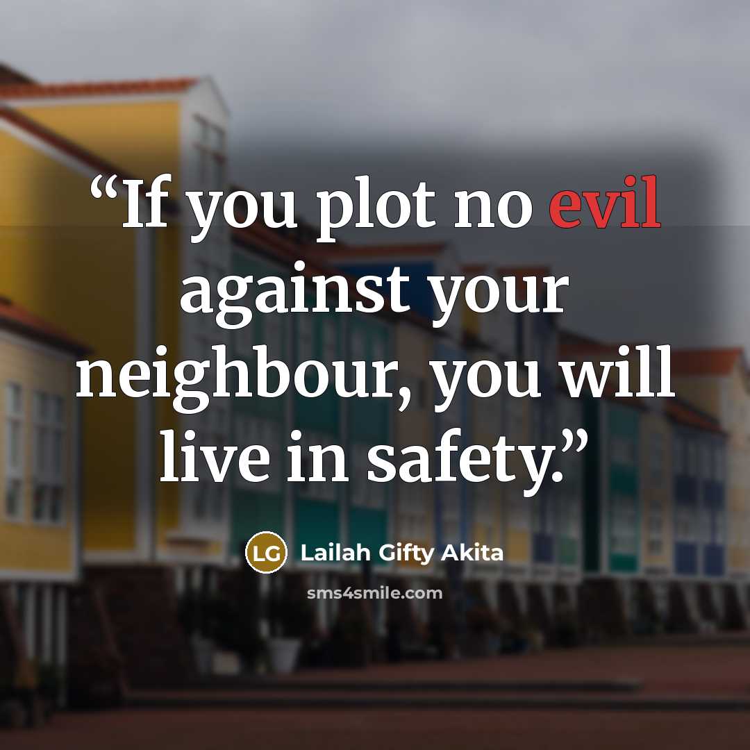 “If you plot no evil against your neighbour, you will live in safety.” quote by Lailah Gifty Akita
