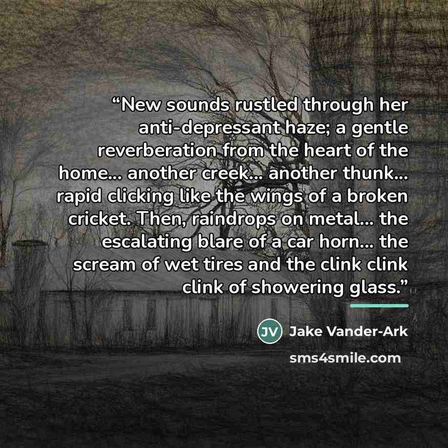 “New sounds rustled through her anti-depressant haze; a gentle reverberation from the heart of the home... another creek... another thunk... rapid clicking like the wings of a broken cricket. Then, raindrops on metal... the escalating blare of a car horn... the scream of wet tires and the clink…” quote by Jake Vander-Ark