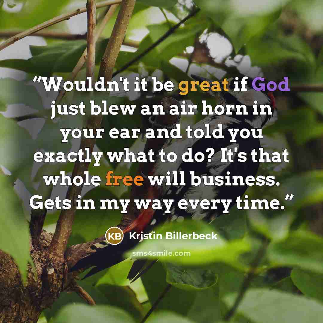 “Wouldn't it be great if God just blew an air horn in your ear and told you exactly what to do? It's that whole free will business. Gets in my way every time.” quote by Kristin Billerbeck