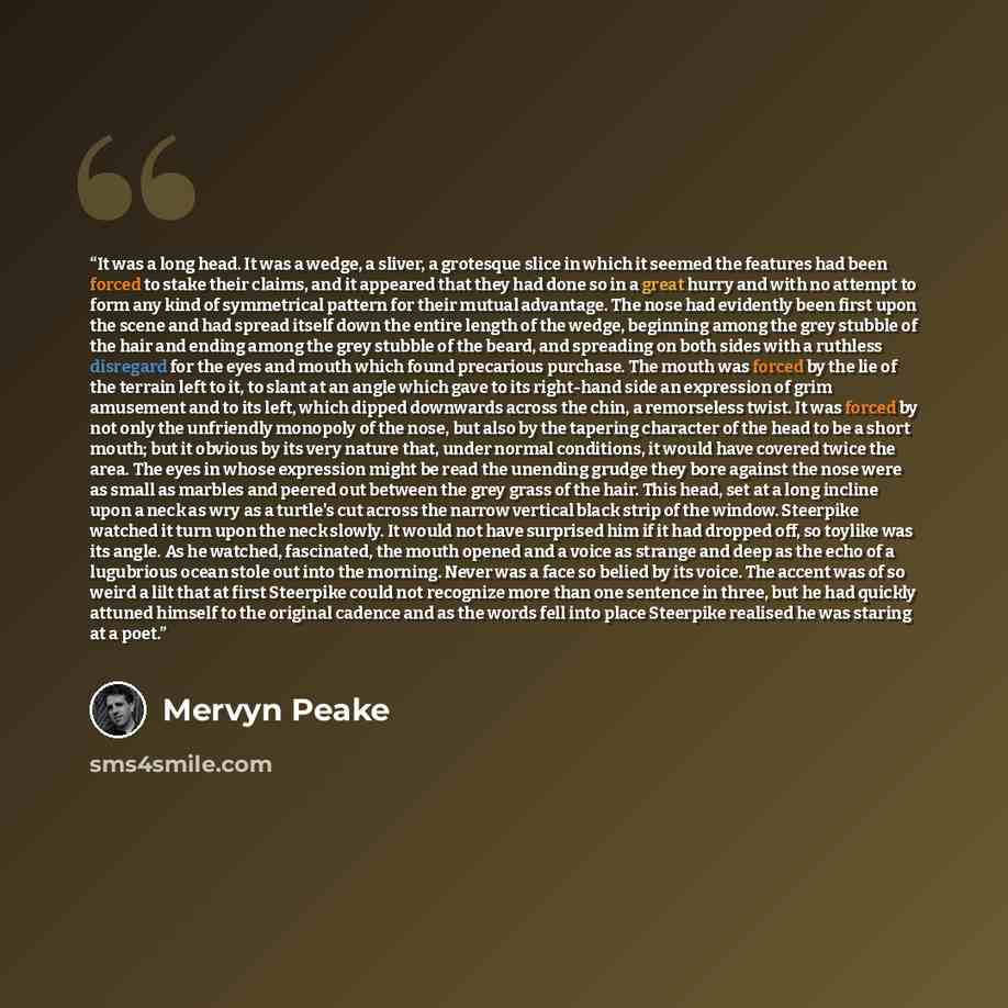“It was a long head. It was a wedge, a sliver, a grotesque slice in which it seemed the features had been forced to stake their claims, and it appeared that they had done so in a great hurry and with no attempt to form any kind of symmetrical pattern for their mutual advantage. The nose had…” quote by Mervyn Peake