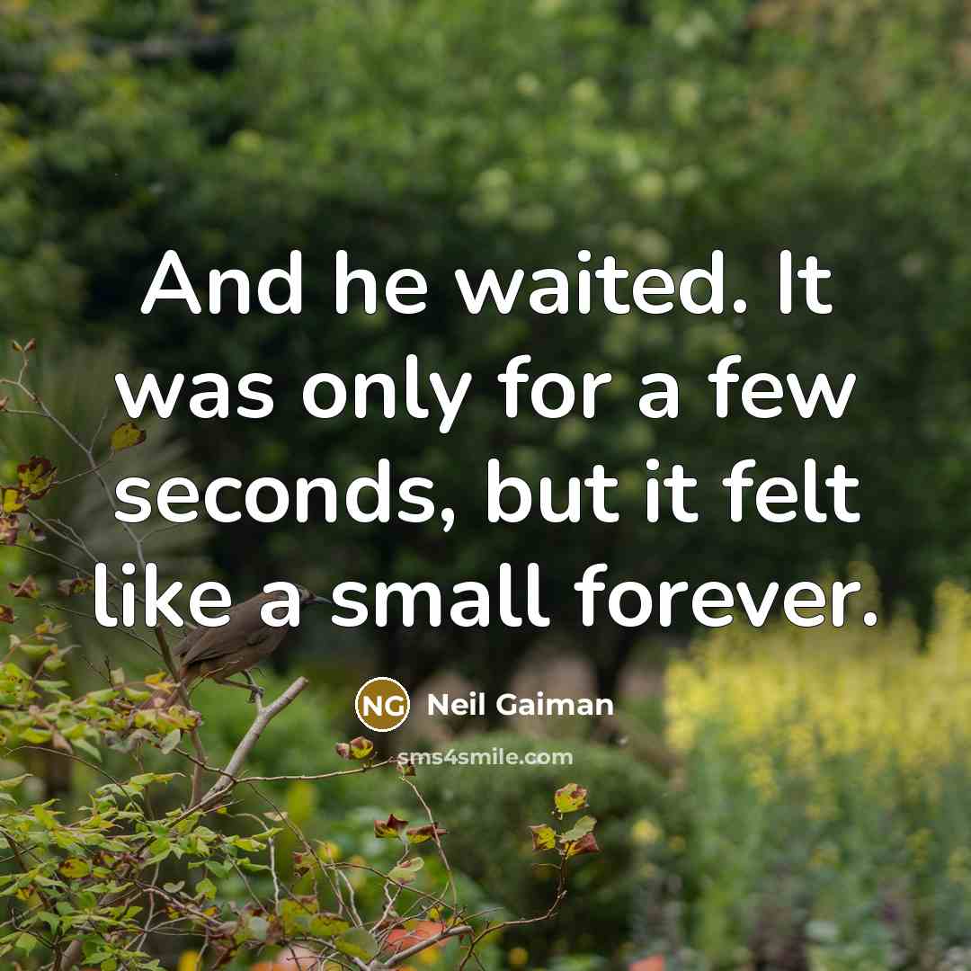 “And he waited. It was only for a few seconds, but it felt like a small forever.” quote by Neil Gaiman