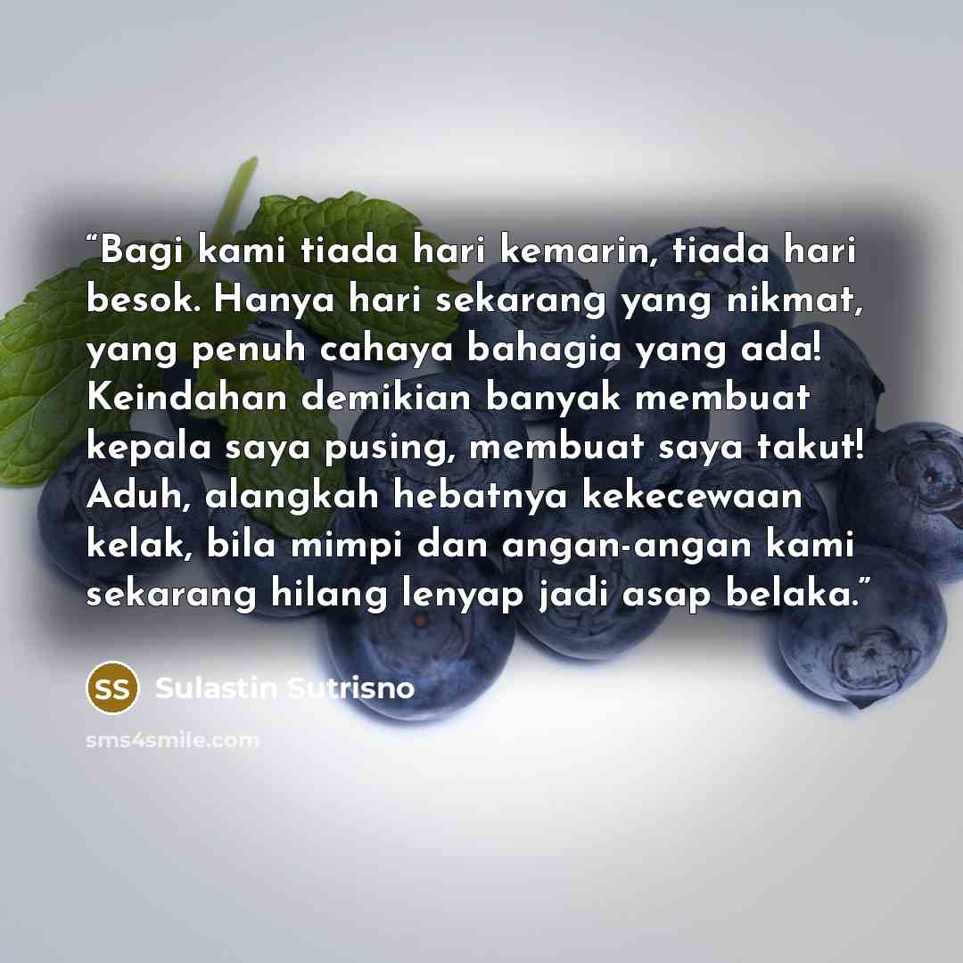 “Bagi kami tiada hari kemarin, tiada hari besok. Hanya hari sekarang yang nikmat, yang penuh cahaya bahagia yang ada! Keindahan demikian banyak membuat kepala saya pusing, membuat saya takut! Aduh, alangkah hebatnya kekecewaan kelak, bila mimpi dan angan-angan kami sekarang hilang lenyap jadi asap…” quote by Sulastin Sutrisno