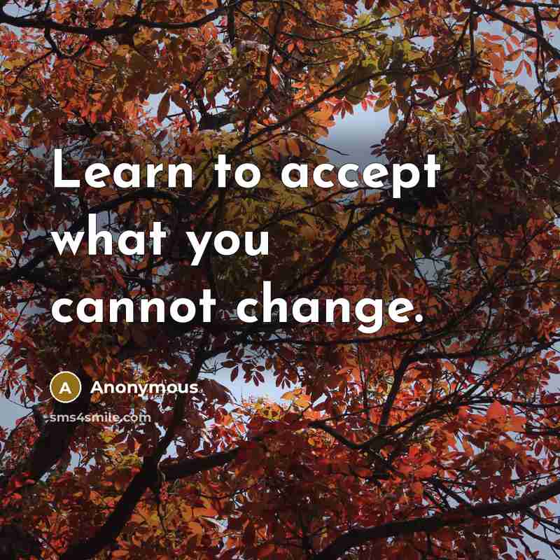 “Learn to accept what you cannot change.” quote by Anonymous