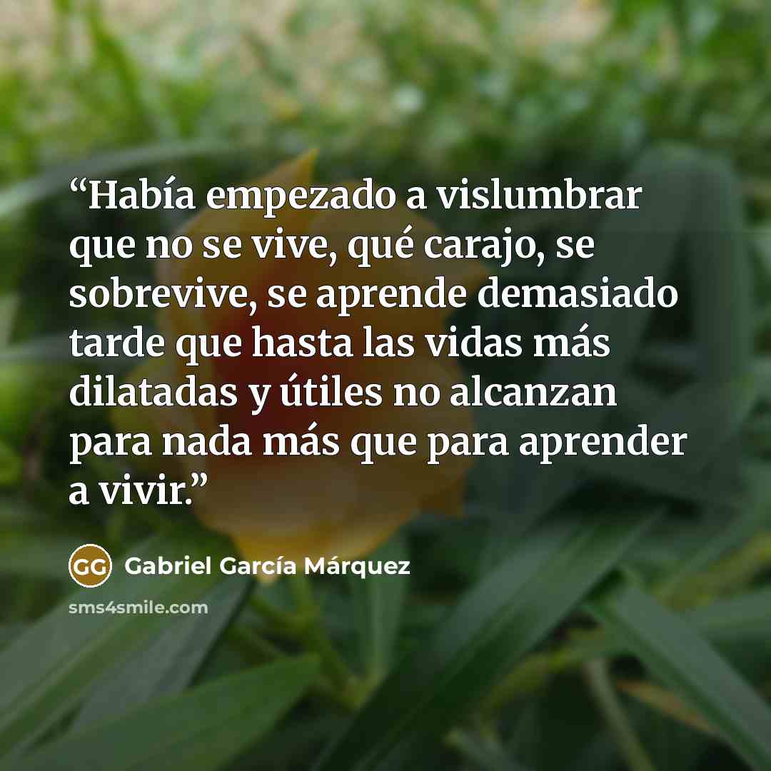 “Había empezado a vislumbrar que no se vive, qué carajo, se sobrevive, se aprende demasiado tarde que hasta las vidas más dilatadas y útiles no alcanzan para nada más que para aprender a vivir.” quote by Gabriel García Márquez