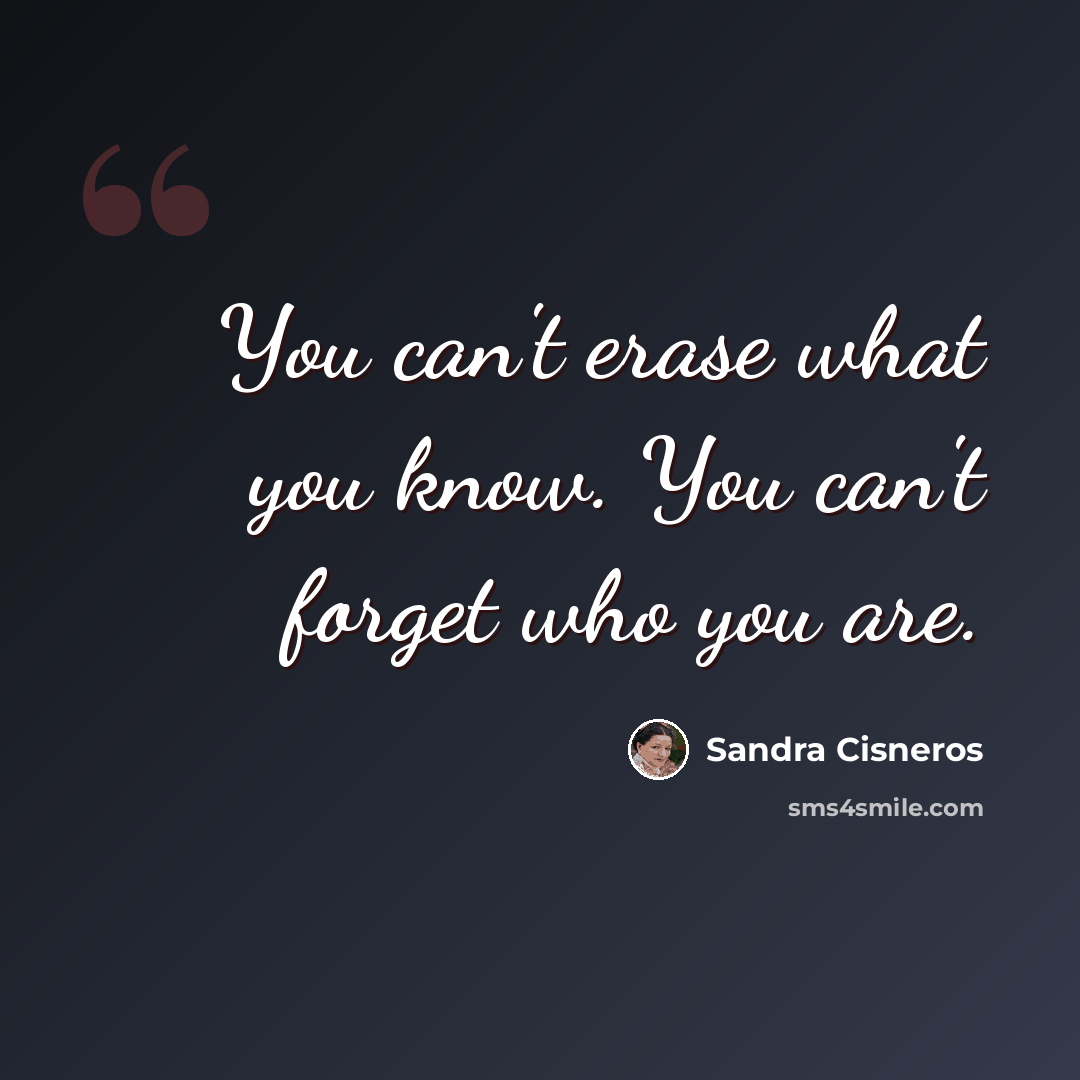 “You can't erase what you know. You can't forget who you are.” quote by Sandra Cisneros