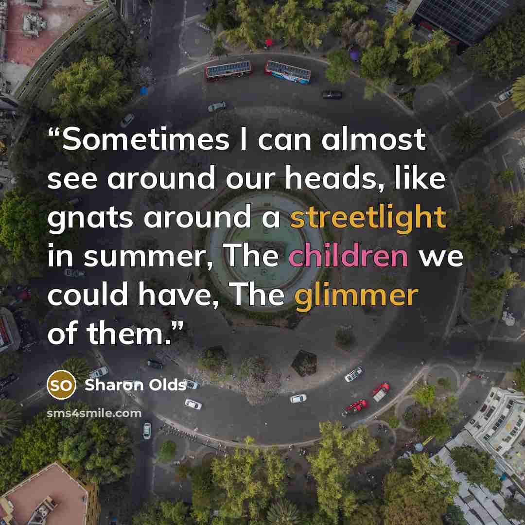 “Sometimes I can almost see around our heads, like gnats around a streetlight in summer, The children we could have, The glimmer of them.” quote by Sharon Olds