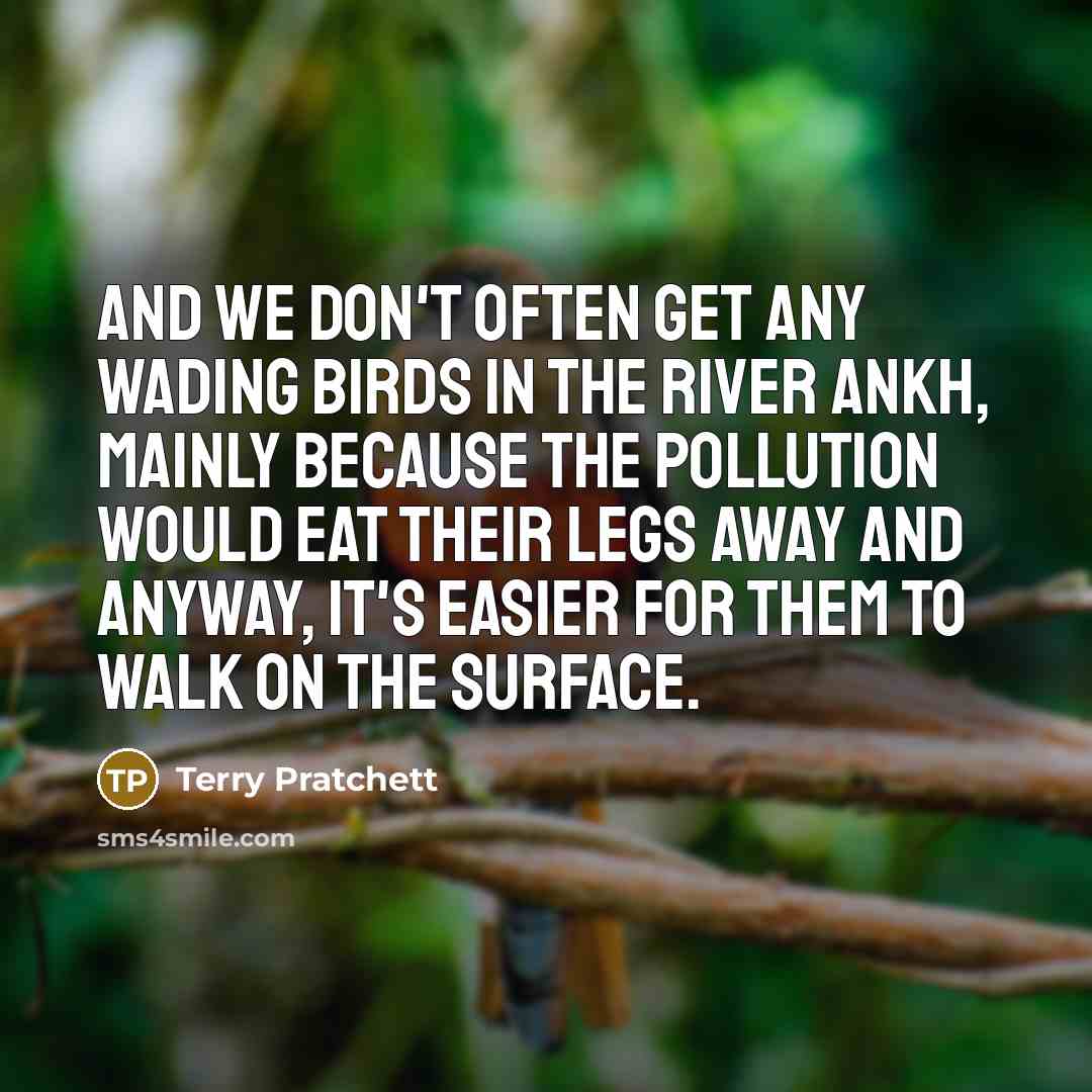 “And we don't often get any wading birds in the River Ankh, mainly because the pollution would eat their legs away and anyway, it's easier for them to walk on the surface.” quote by Terry Pratchett