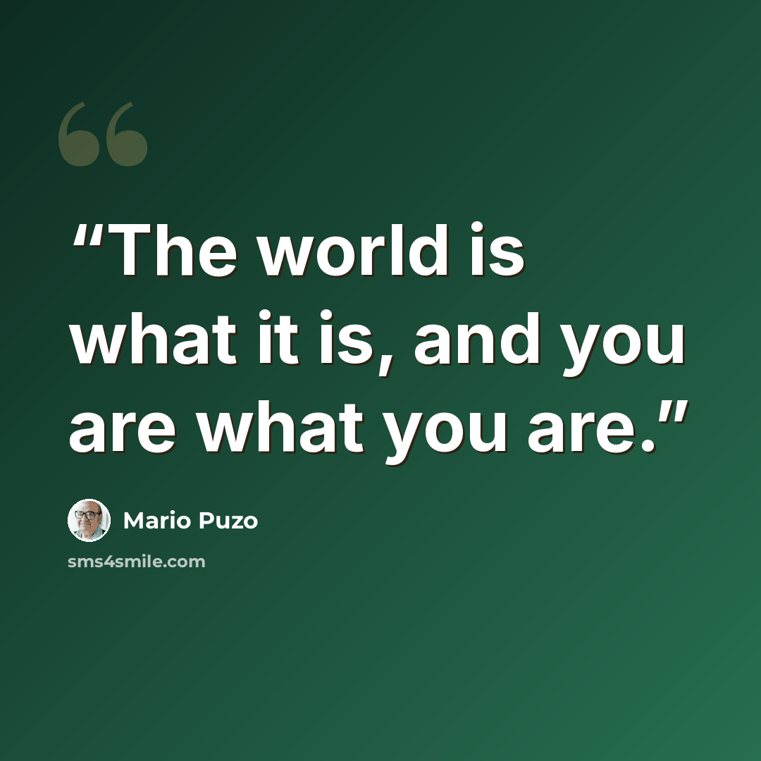 “The world is what it is, and you are what you are.” quote by Mario Puzo