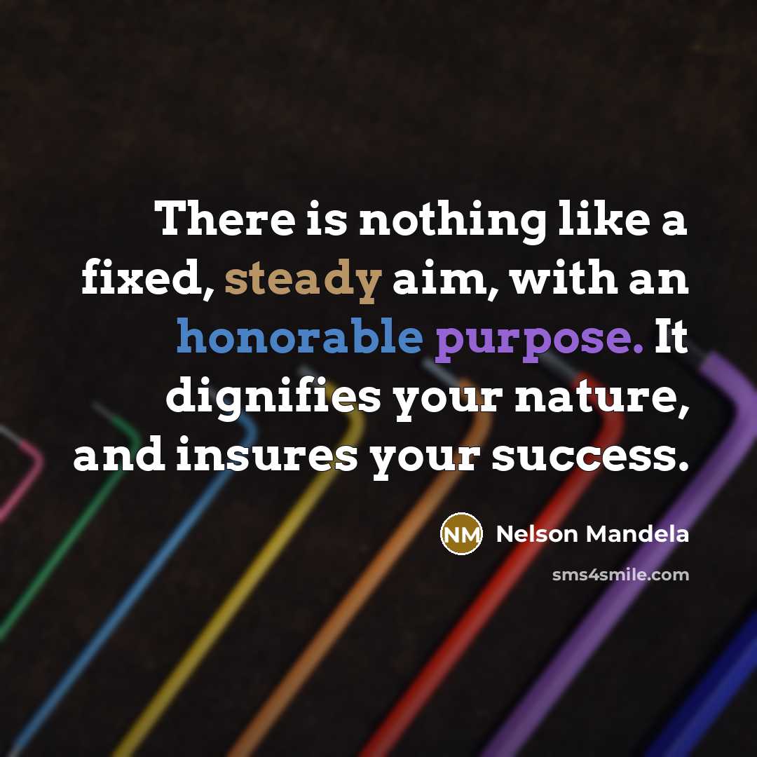 “There is nothing like a fixed, steady aim, with an honorable purpose. It dignifies your nature, and insures your success.” quote by Nelson Mandela