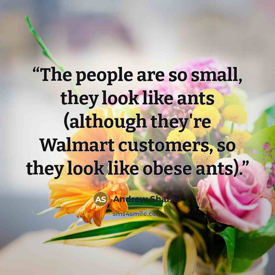 “The people are so small, they look like ants (although they're Walmart customers, so they look like obese ants).” quote by Andrew Shaffer