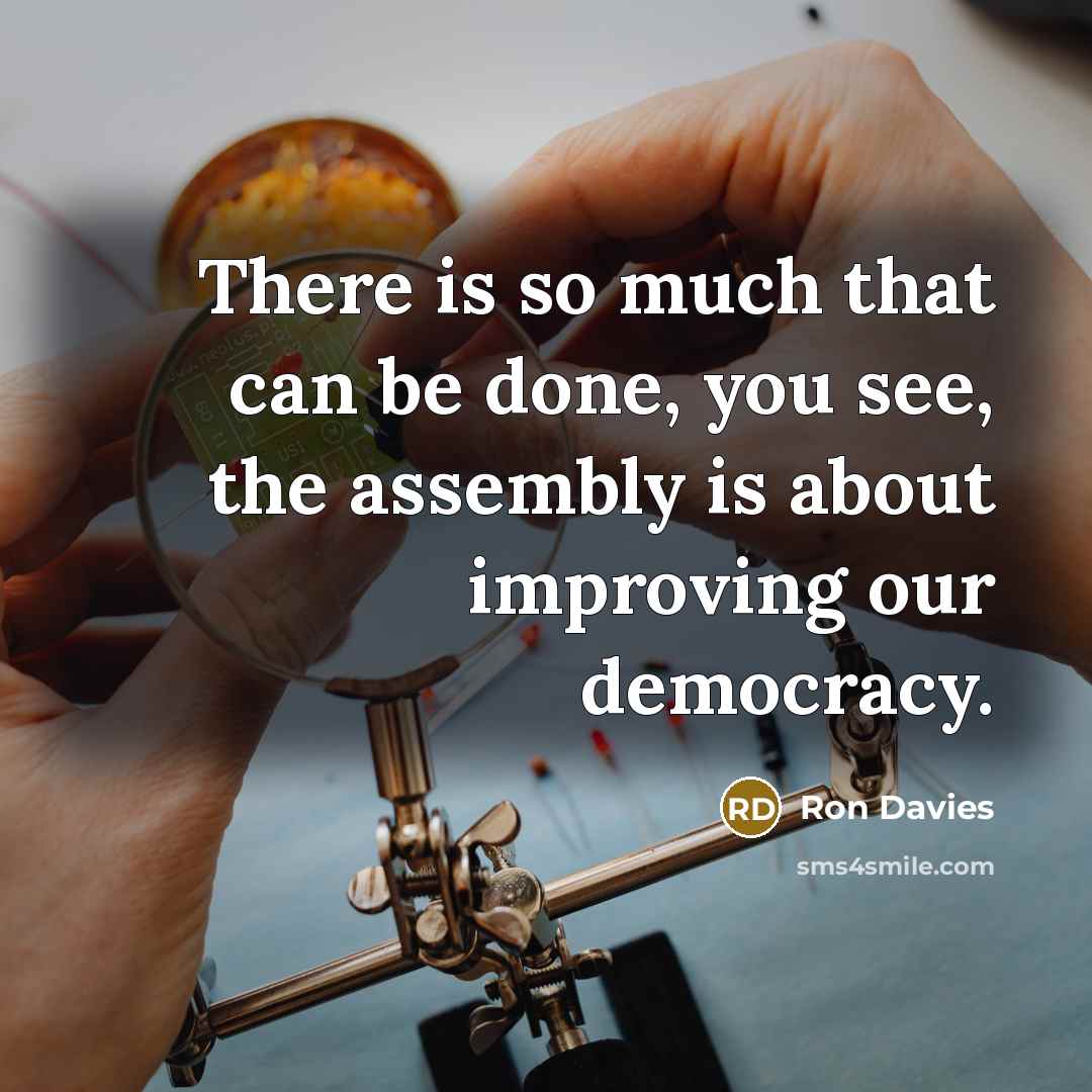 “There is so much that can be done, you see, the assembly is about improving our democracy.” quote by Ron Davies