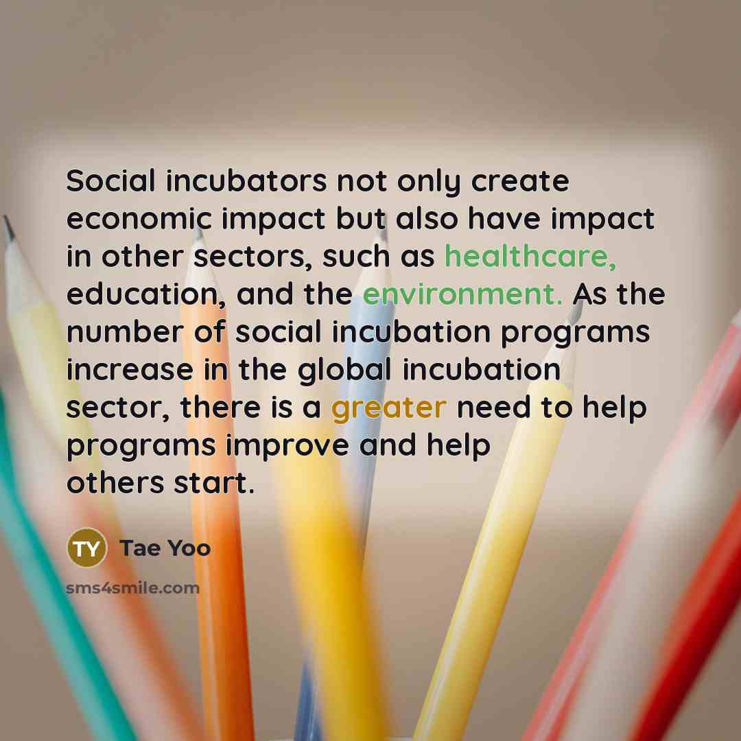 “Social incubators not only create economic impact but also have impact in other sectors, such as healthcare, education, and the environment. As the number of social incubation programs increase in the global incubation sector, there is a greater need to help programs improve and help others start.” quote by Tae Yoo