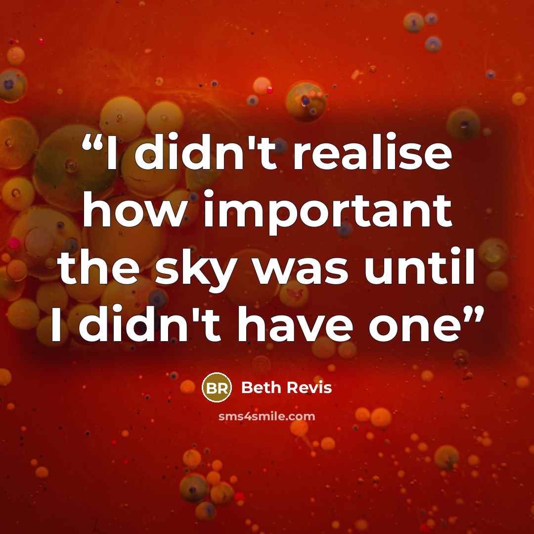 “I didn't realise how important the sky was until I didn't have one” quote by Beth Revis
