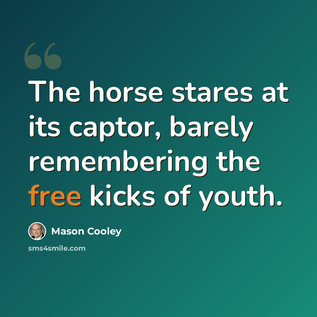 “The horse stares at its captor, barely remembering the free kicks of youth.” quote by Mason Cooley