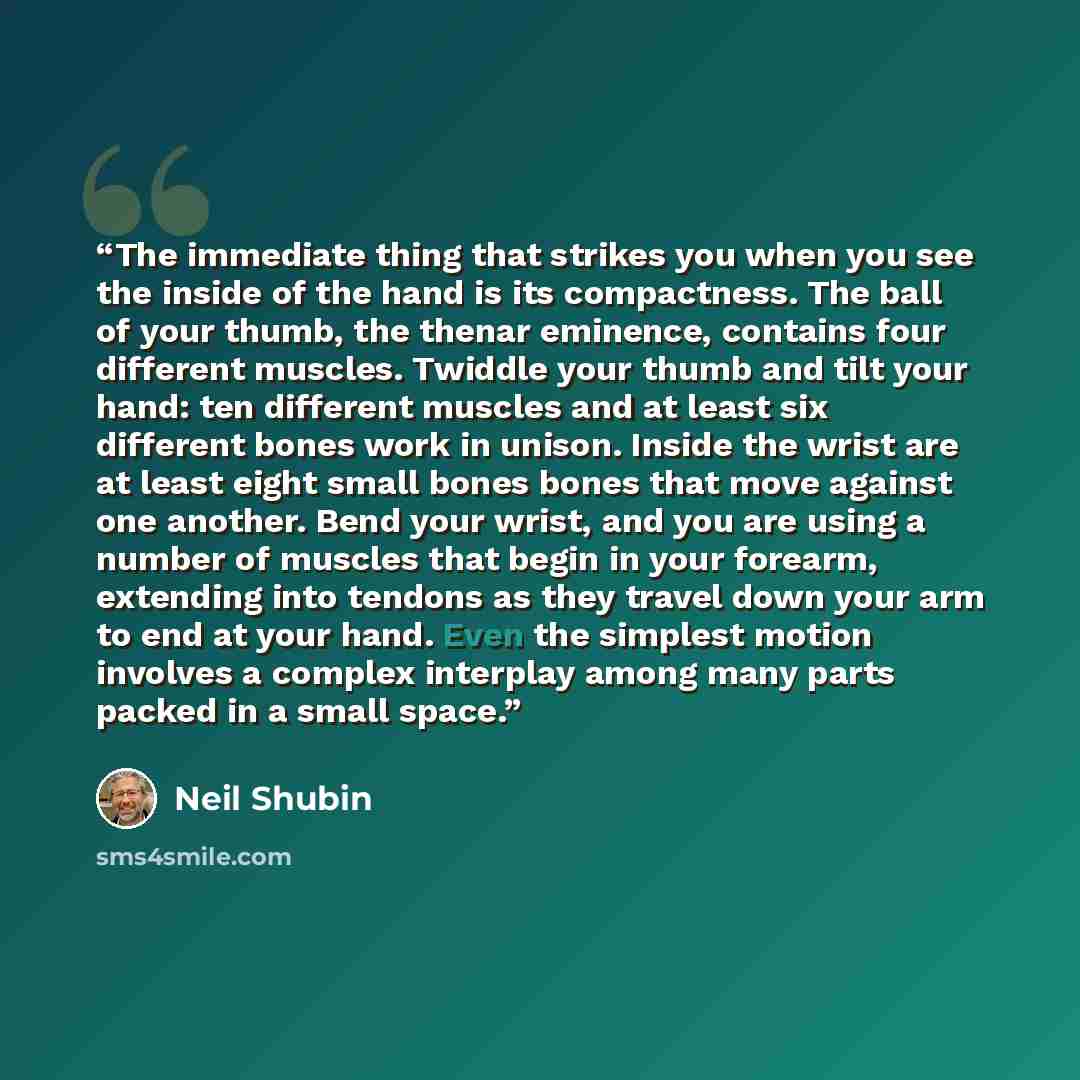 “The immediate thing that strikes you when you see the inside of the hand is its compactness. The ball of your thumb, the thenar eminence, contains four different muscles. Twiddle your thumb and tilt your hand: ten different muscles and at least six different bones work in unison. Inside the wrist…” quote by Neil Shubin