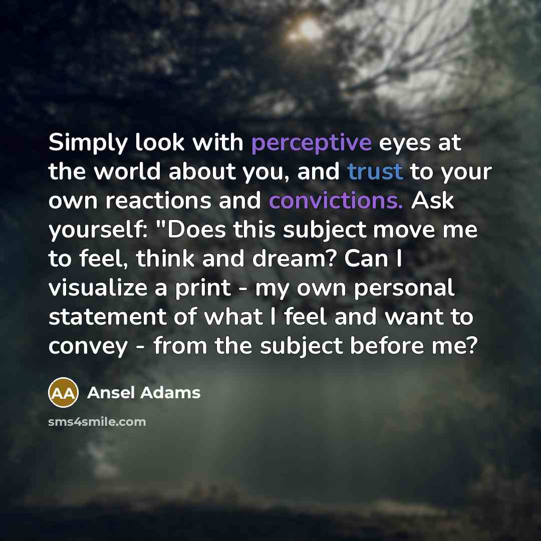 “Simply look with perceptive eyes at the world about you, and trust to your own reactions and convictions. Ask yourself: "Does this subject move me to feel, think and dream? Can I visualize a print - my own personal statement of what I feel and want to convey - from the subject before me?” quote by Ansel Adams