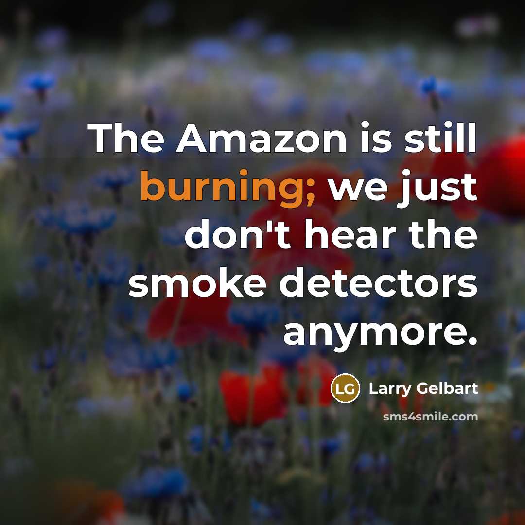 “The Amazon is still burning; we just don't hear the smoke detectors anymore.” quote by Larry Gelbart