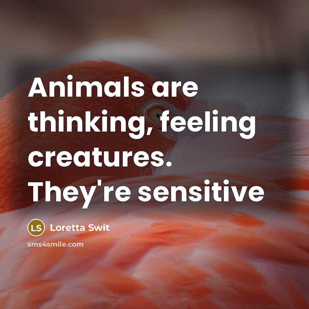 “Animals are thinking, feeling creatures. They're sensitive” quote by Loretta Swit
