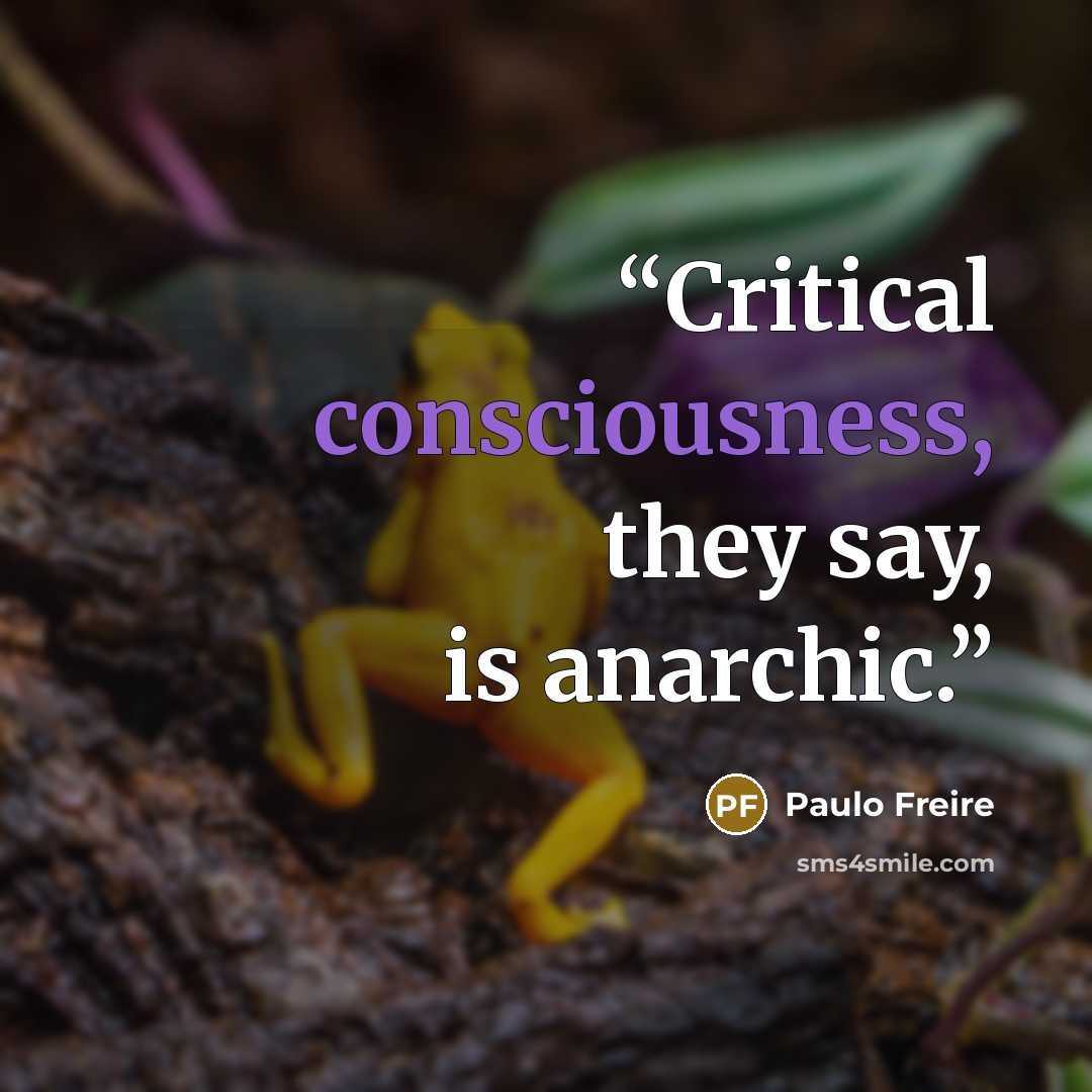 “Critical consciousness, they say, is anarchic.” quote by Paulo Freire