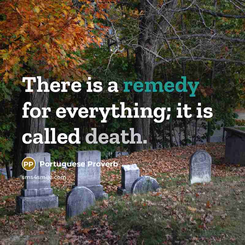 “There is a remedy for everything; it is called death.” quote by Portuguese Proverb