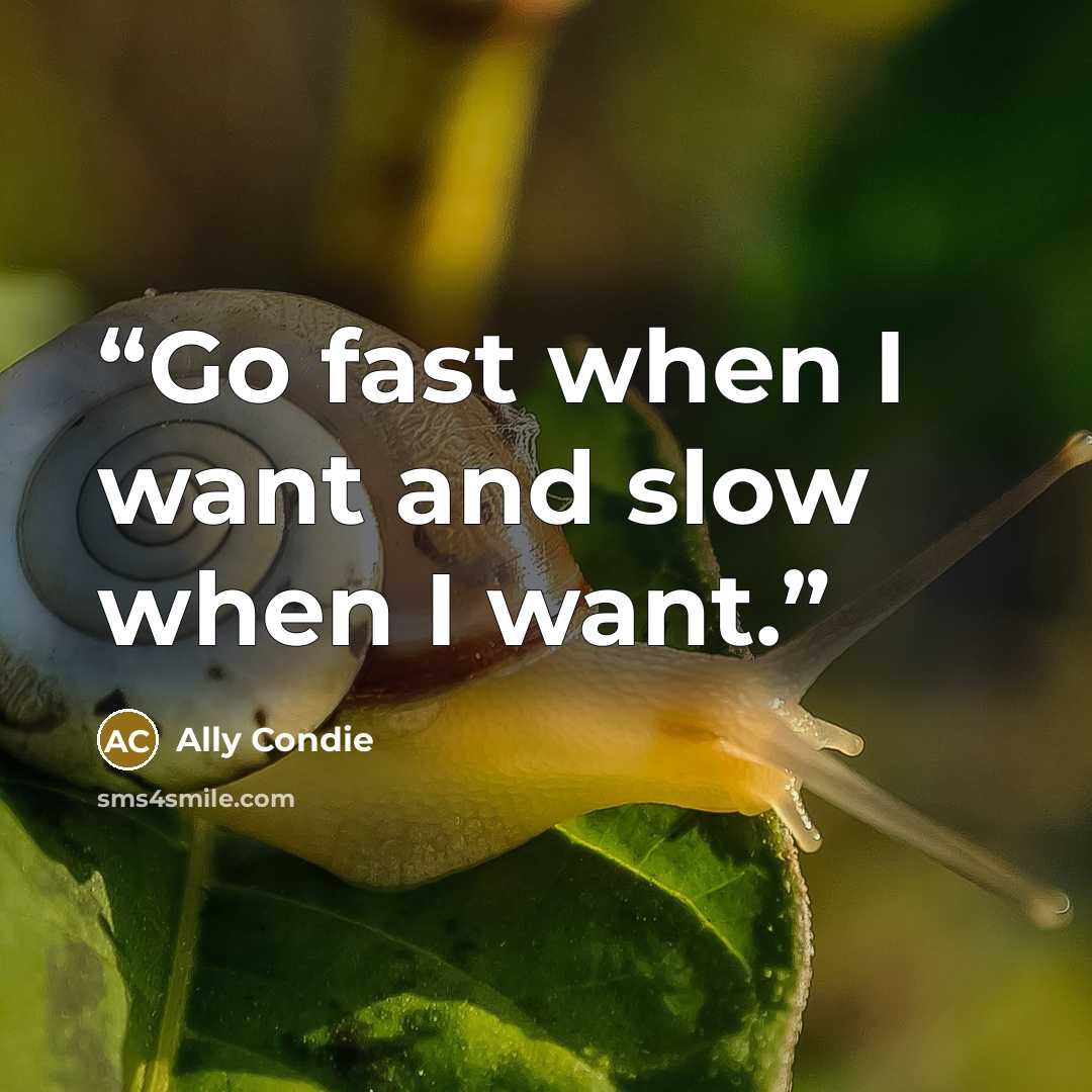 “Go fast when I want and slow when I want.” quote by Ally Condie