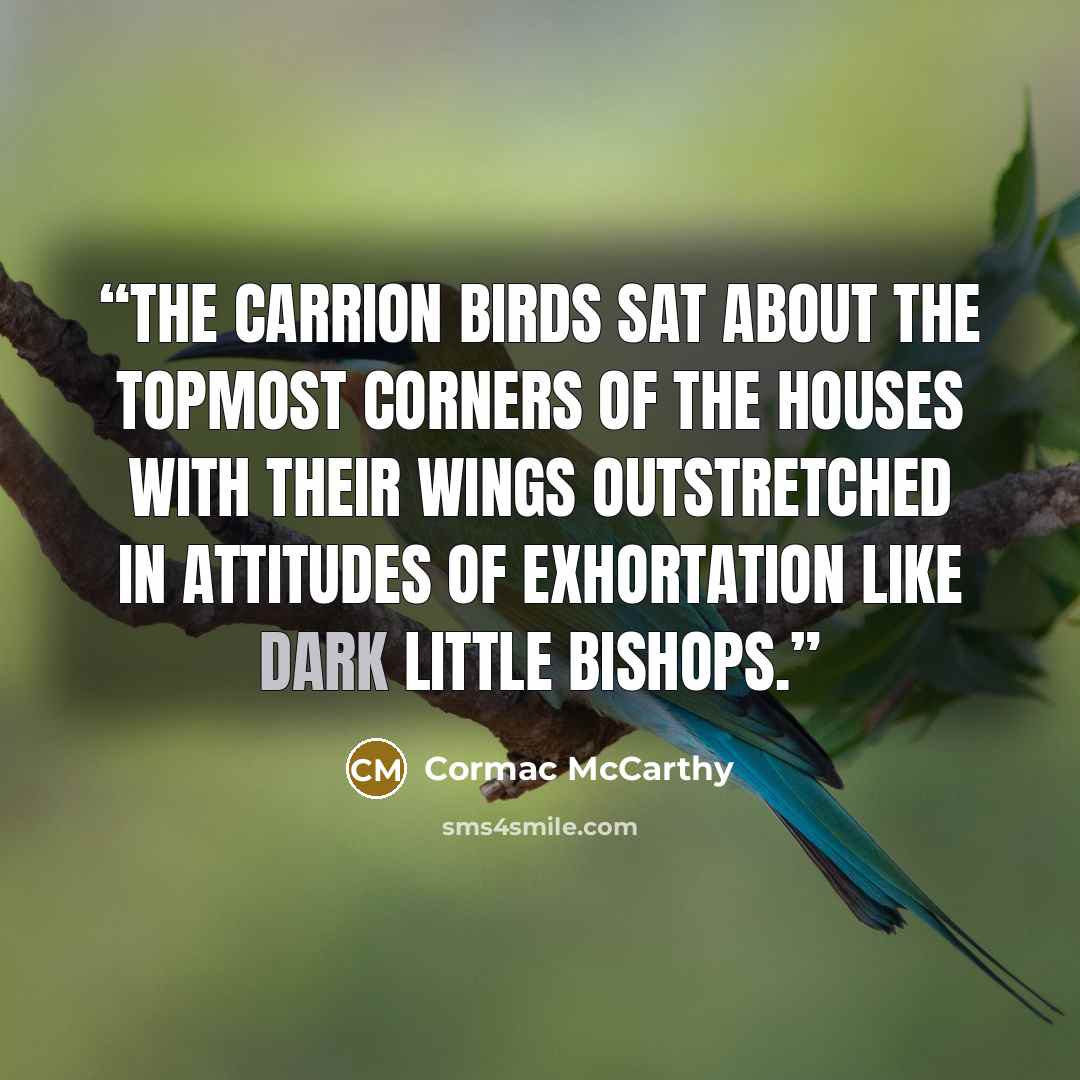 “The carrion birds sat about the topmost corners of the houses with their wings outstretched in attitudes of exhortation like dark little bishops.” quote by Cormac McCarthy