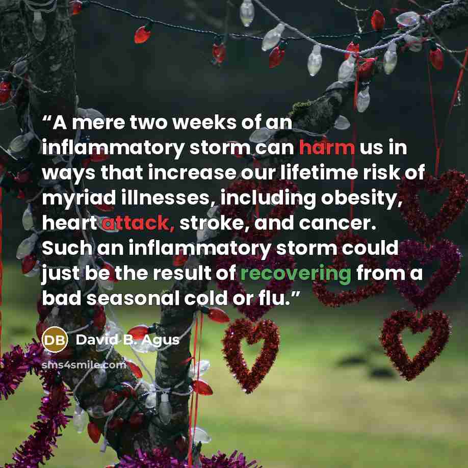“A mere two weeks of an inflammatory storm can harm us in ways that increase our lifetime risk of myriad illnesses, including obesity, heart attack, stroke, and cancer. Such an inflammatory storm could just be the result of recovering from a bad seasonal cold or flu.” quote by David B. Agus