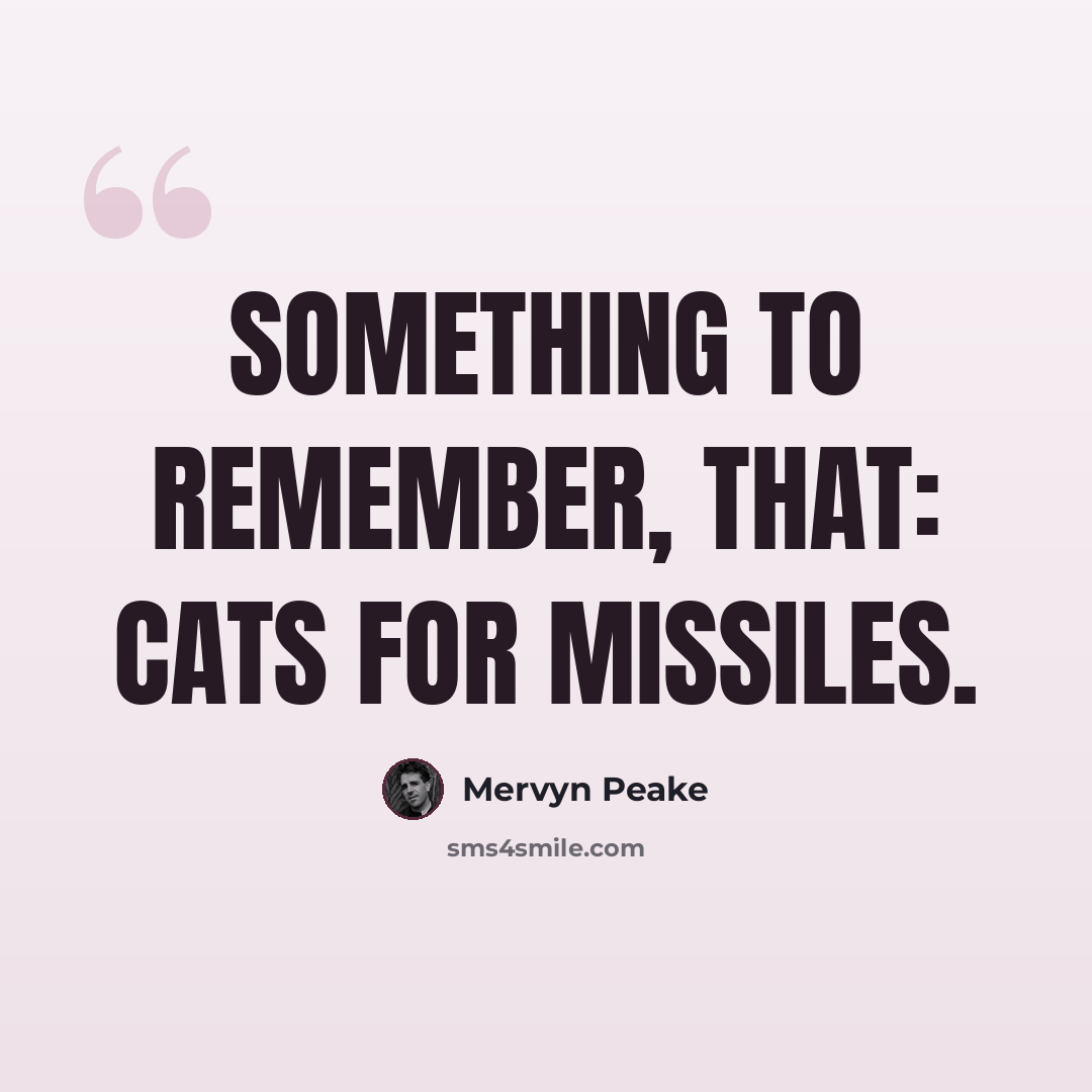 “Something to remember, that: cats for missiles.” quote by Mervyn Peake