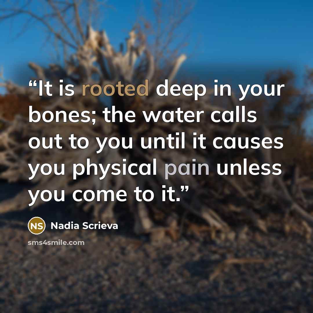 “It is rooted deep in your bones; the water calls out to you until it causes you physical pain unless you come to it.” quote by Nadia Scrieva